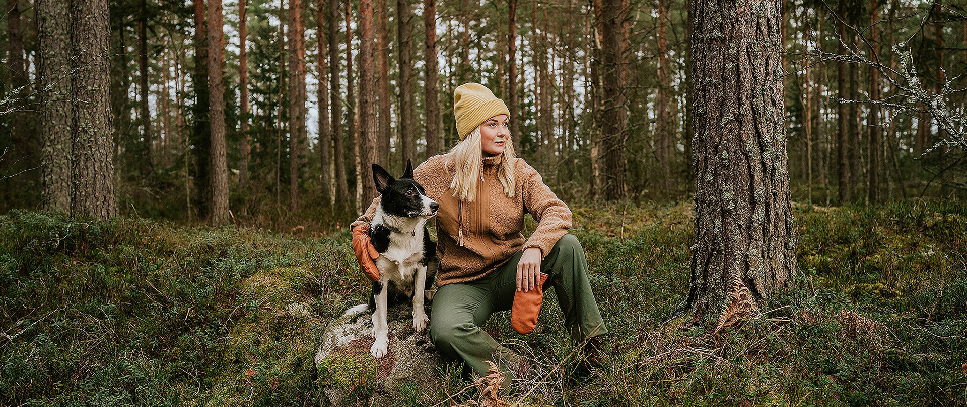 Tiivistelmä Arvo Sijoitusosuuskunnan osavuosikatsauksesta 1.1.-30.6.2019